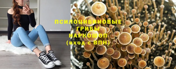 молекула духа Балахна
