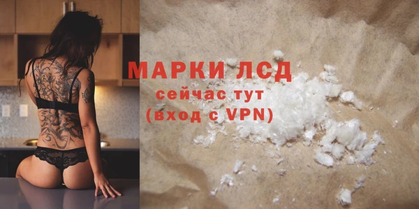 сатива Белокуриха