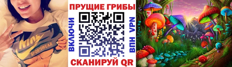 закладка Ершов Галлюциногенные грибы Cubensis