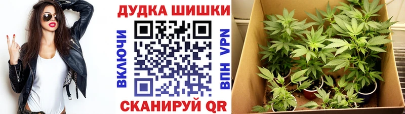 МАРИХУАНА план  Ершов 